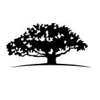 WisdomTree International Dividend ex-Financials Fund