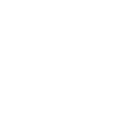 Draganfly Inc.