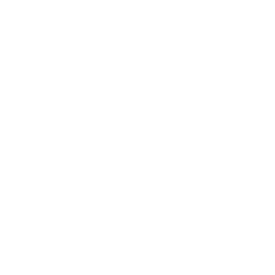 Neonode Inc. logo