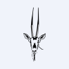 Oryx International Growth Fund Limited