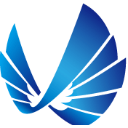 Scienjoy Holding Corporation logo