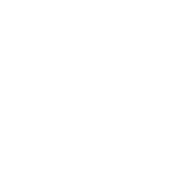 XPeng Inc. logo